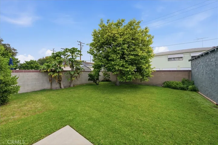 Back yard with mature lemon and persimmon trees