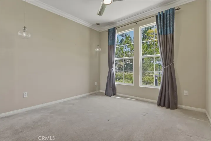 Downstairs Bedroom