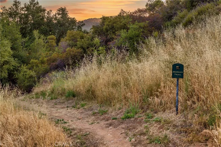 18 Morgan, Bell Canyon, California 91307