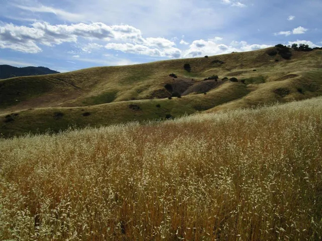 0 New Idria Road, Paicines, California 95043
