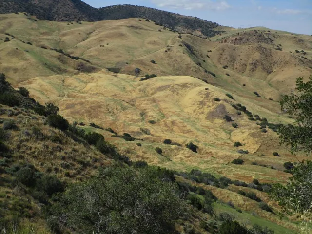 0 New Idria Road, Paicines, California 95043