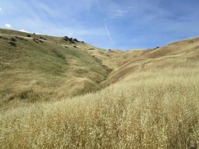 0 New Idria Road, Paicines, California 95043