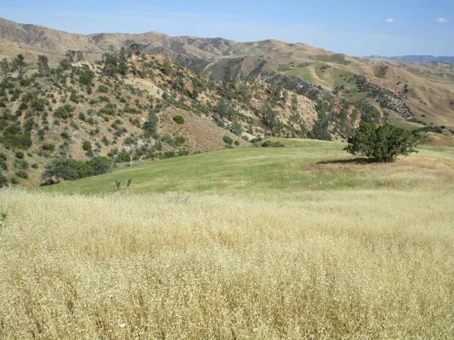 0 New Idria Road, Paicines, California 95043
