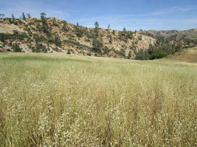 0 New Idria Road, Paicines, California 95043