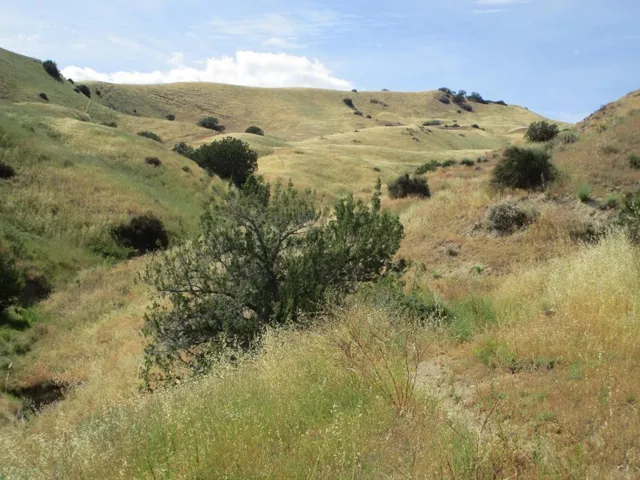 0 New Idria Road, Paicines, California 95043