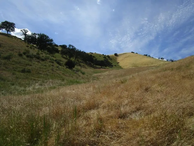 0 New Idria Road, Paicines, California 95043