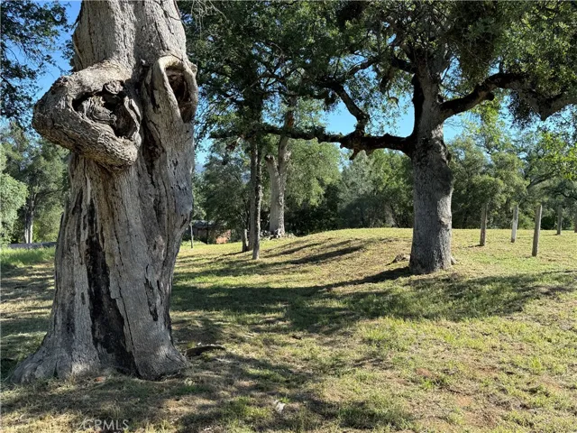 4952 Hidden Springs, Mariposa, California 95338