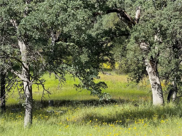 4952 Hidden Springs, Mariposa, California 95338