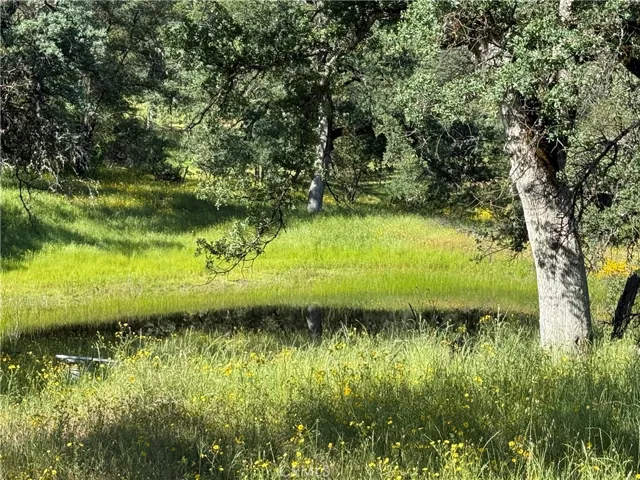 4952 Hidden Springs, Mariposa, California 95338