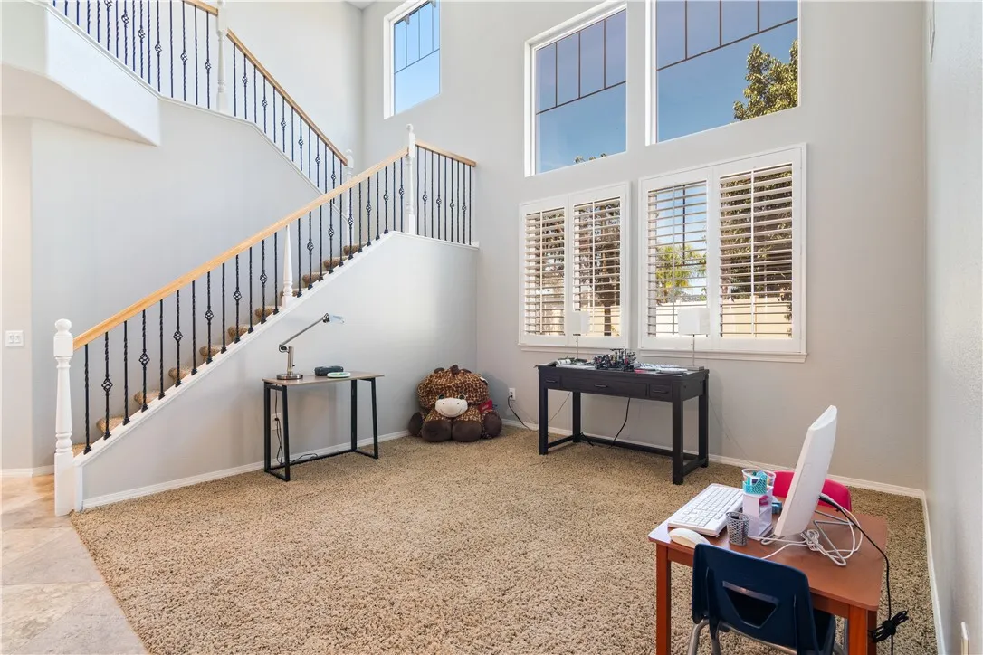 Living Room/Salon