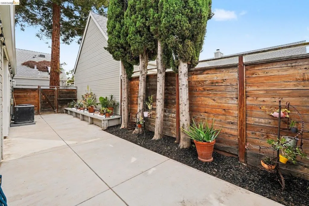 Concrete side yard featuring a wood fence, mature trees, and an elevated planter bed