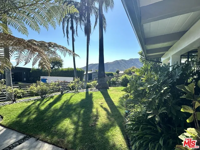 Front Yard