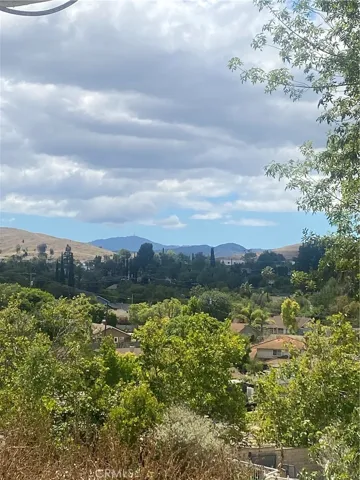 view from backyard
