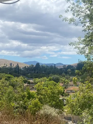 view from backyard