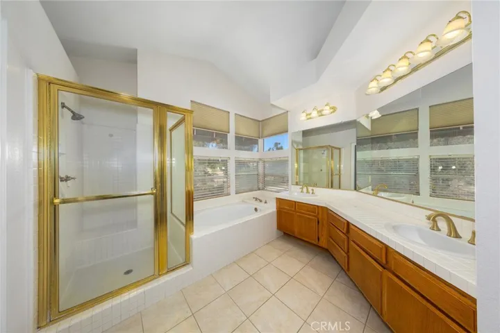 Master Bathroom 1