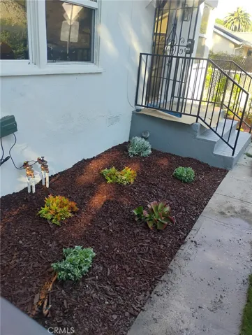 Front yard garden