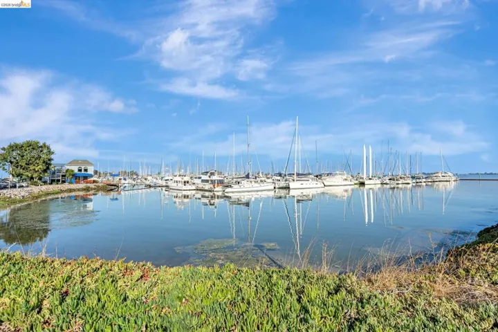 Water view featuring a marina