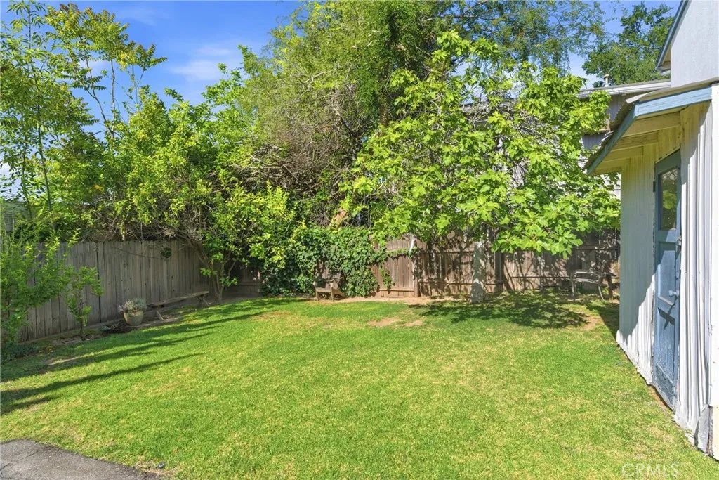 Rear Grassy Area