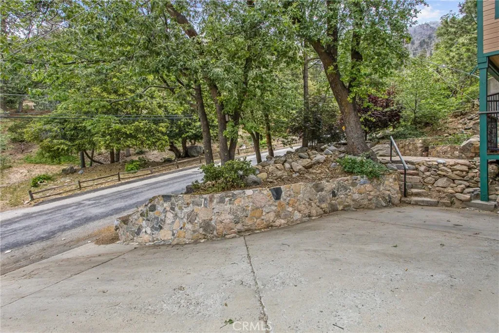 View of trees across the street, as seen from the driveway