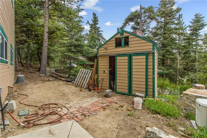 The Shed