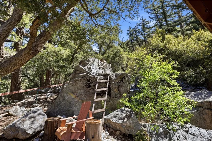 Climb too the top!