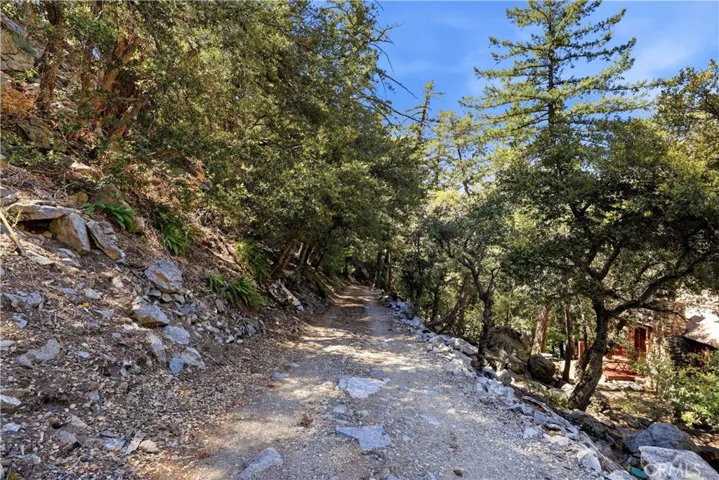 Road leads straight to the cabin!!