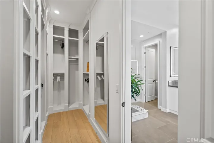 Master Walking closet
