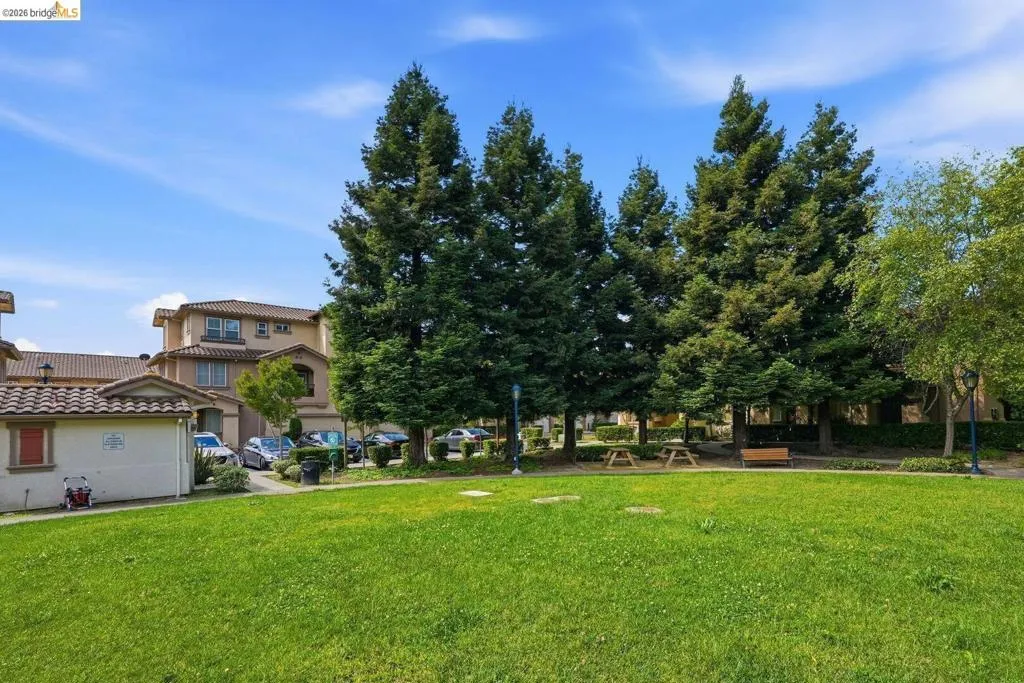 view of green lawn