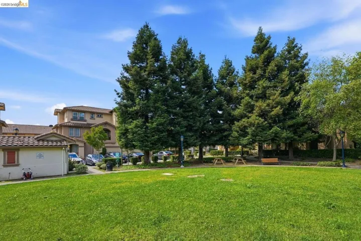 view of green lawn