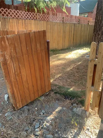 Back yard