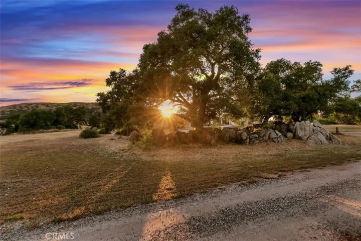 Beautiful Oaks