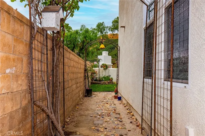 Left Side Yard