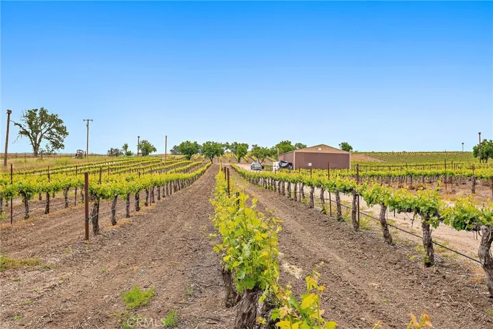 5575 El Pomar, Templeton, California 93465