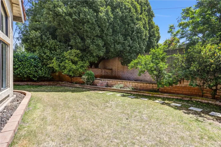 Back yard