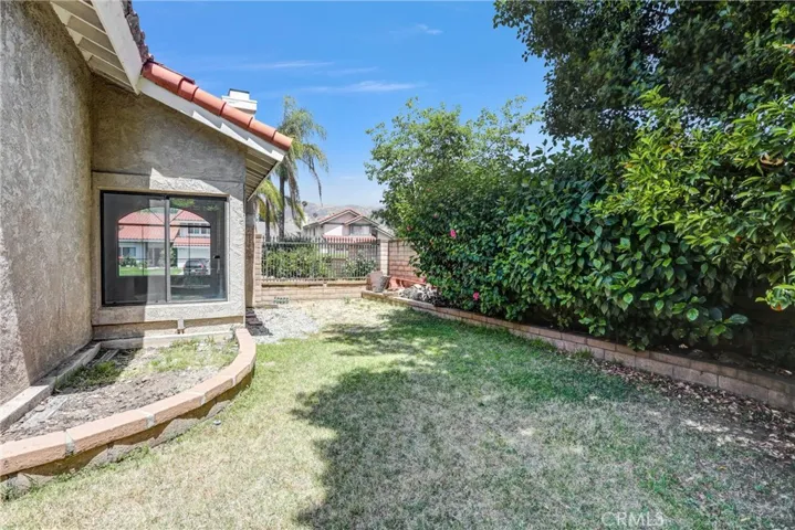 Back yard