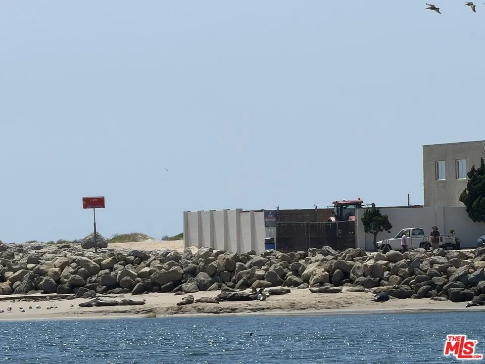 See the sea lions sunning?
