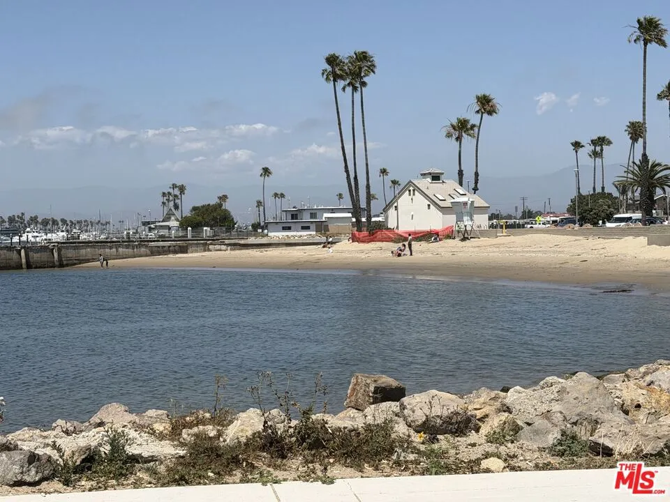 Dog beach