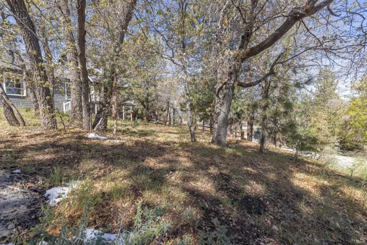Backyard3-9256