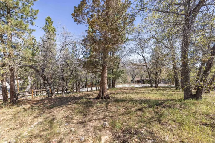 Backyard2-9255