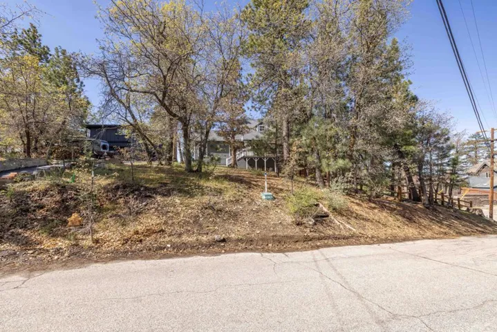 Backyard4-9257