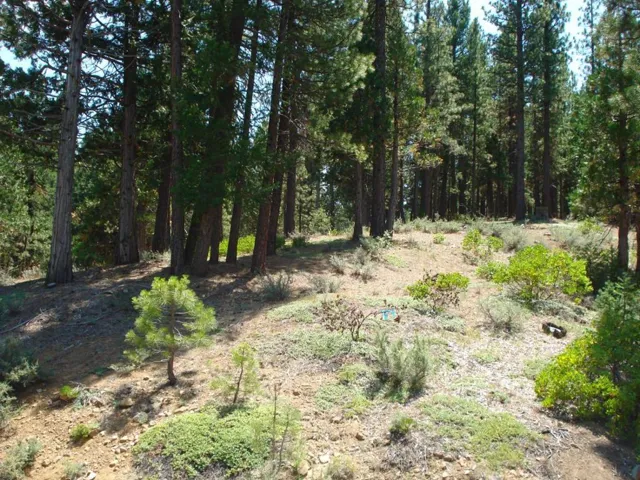 976 Moon Shadow, Portola, California 96122