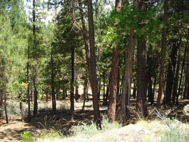 976 Moon Shadow, Portola, California 96122