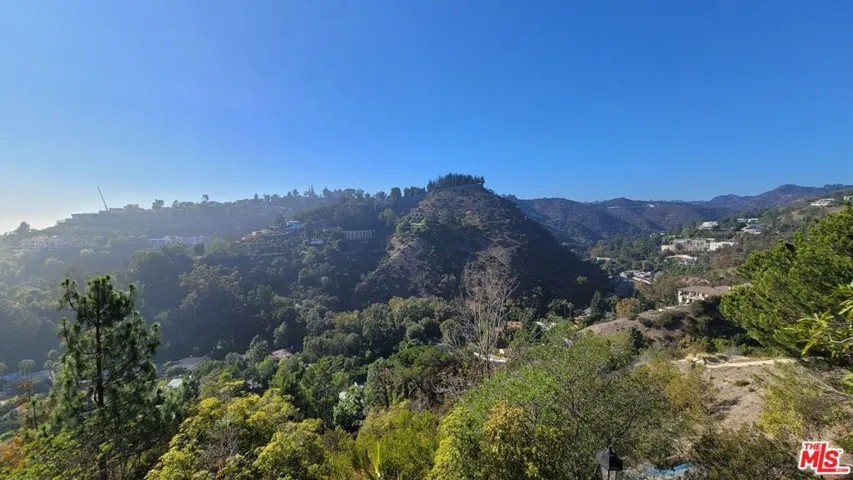 View from the window