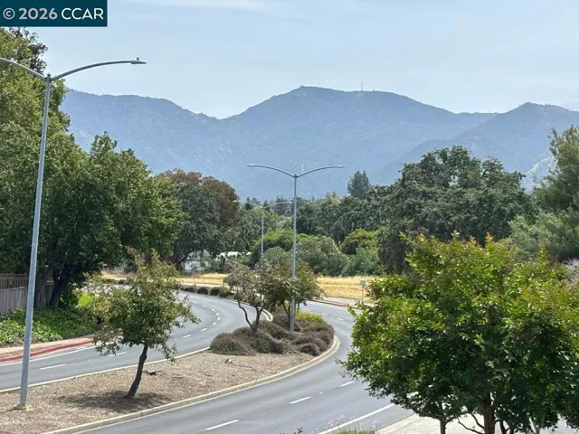 View of Mt. Diablo