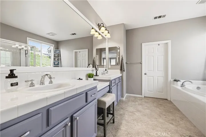 primary bathroom with walk in closet