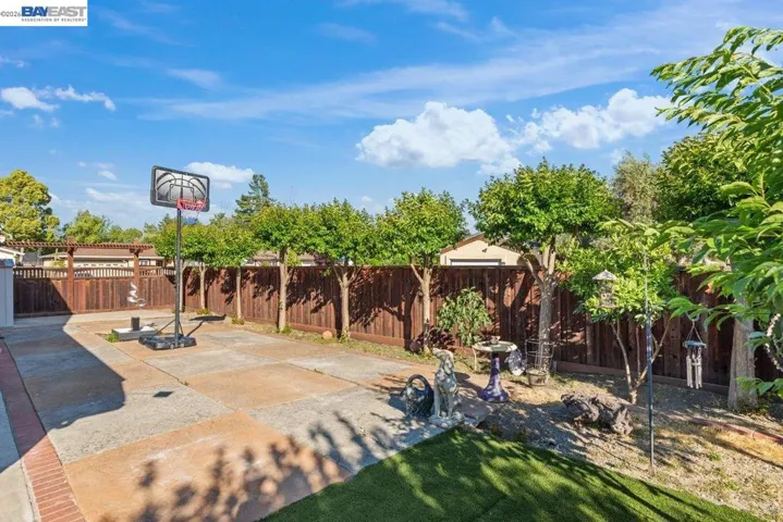 Side Yard