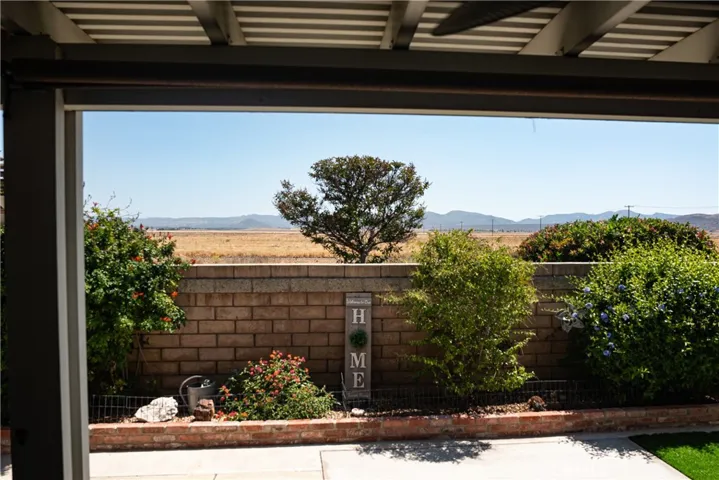 View From Covered Patio