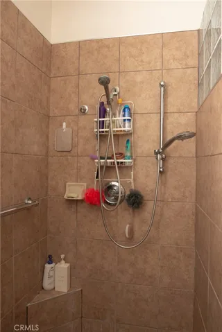Primary Bath Shower