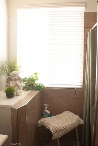 Primary Open Entrance to custom shower