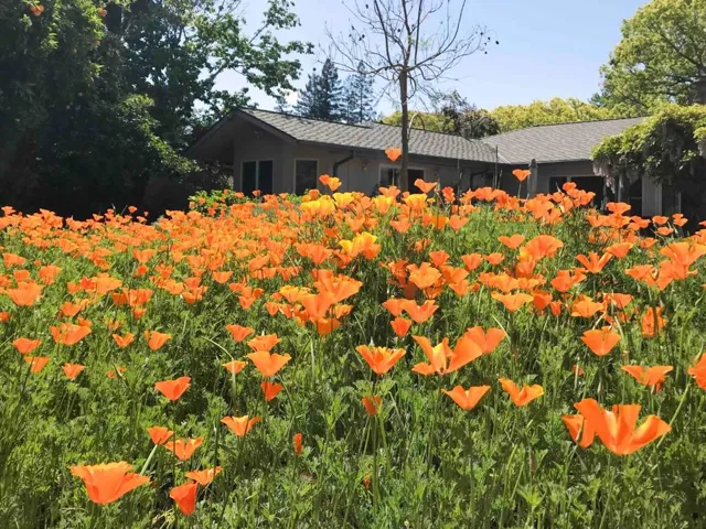 425 Claremont Way, Menlo Park, California 94025